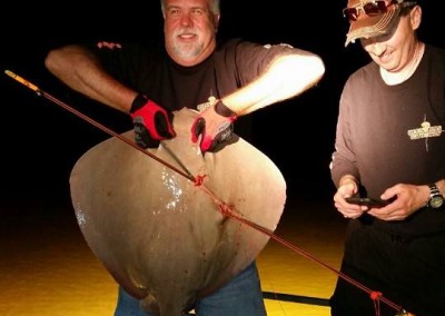 Steve sting ray